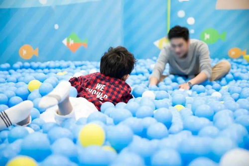 百万海洋球空降临淄 解锁周末新玩法