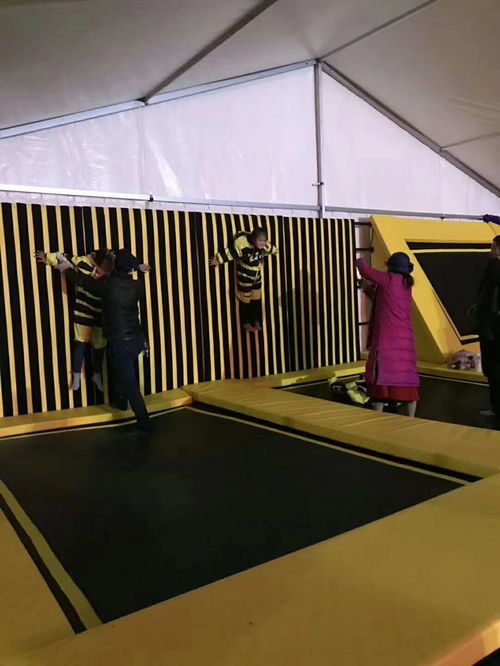 【蹦床制作大型蹦床厂家租赁出售超级蹦床】- 