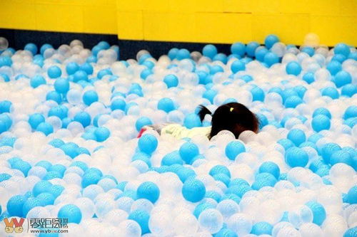 开抢了 100000颗海洋球 海盗船 积木城堡登陆宜宾 powered discuz