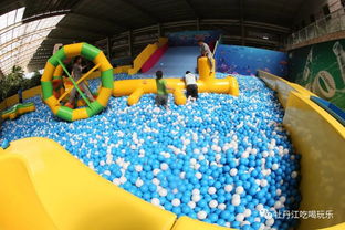 端午全家 粽 动员 大湾海洋世界 儿童门票35元 成人门票58特惠 鹦鹉表演 海豹表演,给你一个精彩的端午