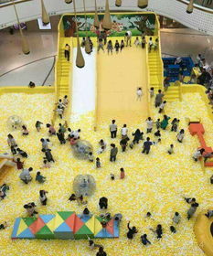 海洋球 儿童乐园中的魅力之星